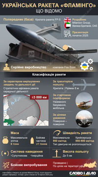 Вдвічі потужніша за Tomahawk: що відомо про українську далекобійну ракету «Фламінго»